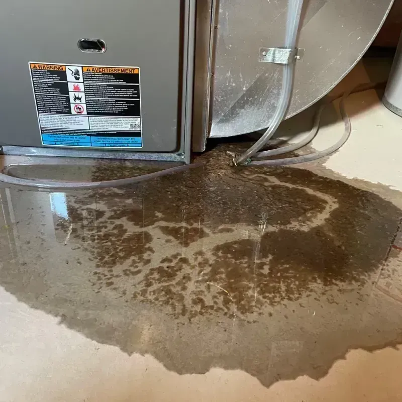 Appliance Leak Cleanup in Liberty, KY